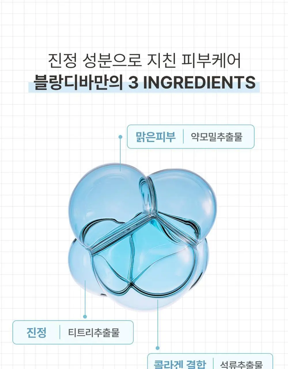 [서노 마켓] 블랑디바 워터벨벳 쿠션 13g 3종 (본품+리필) 상세페이지 24